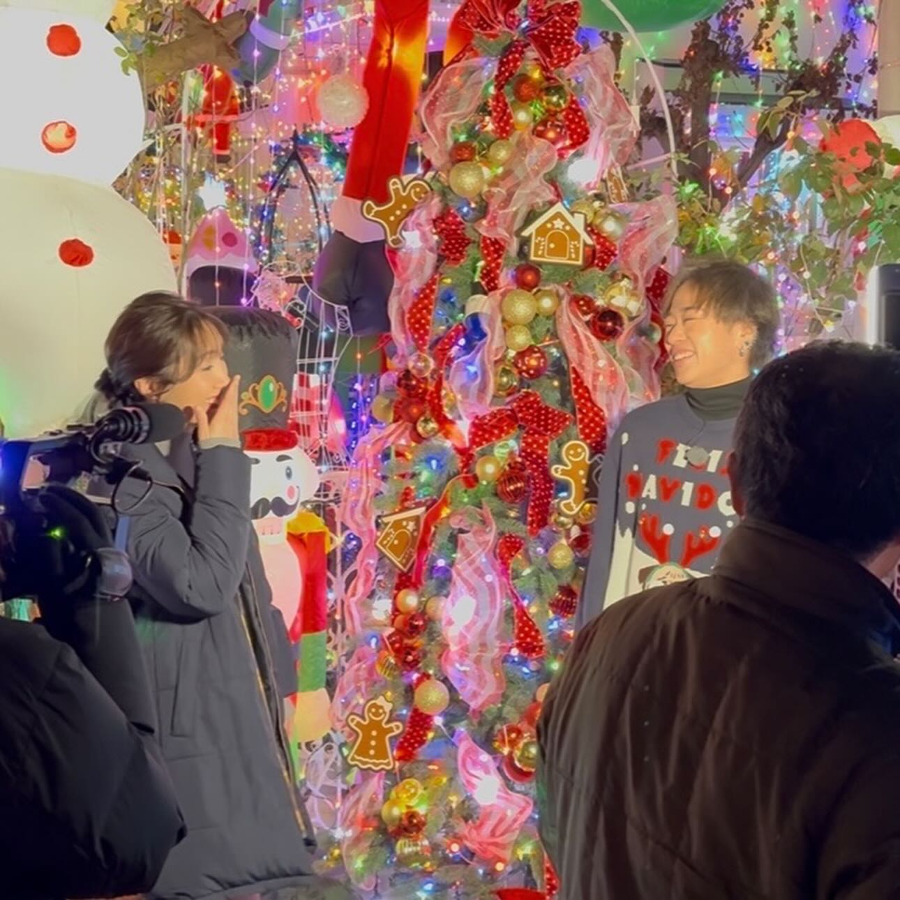 テレビで特集された、れおくんイルミネーションの様子