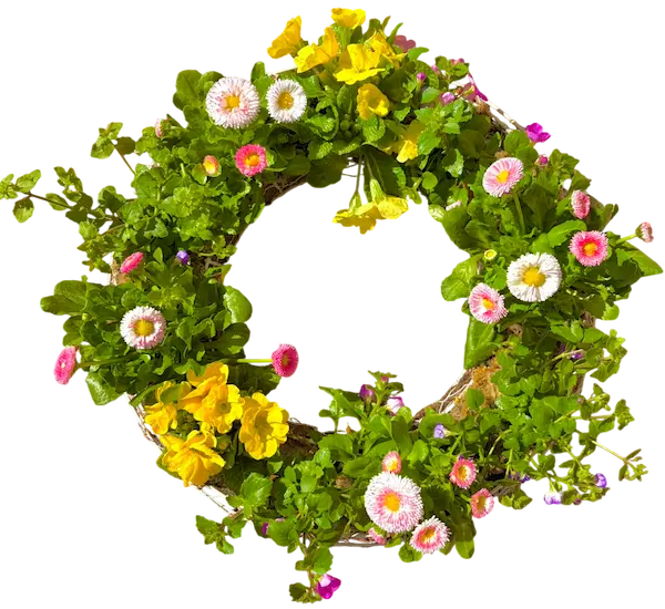 れおくんちのお花01