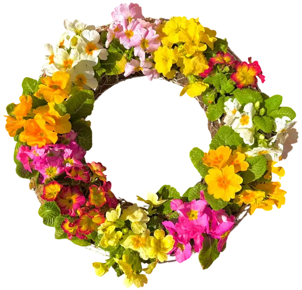 れおくんちのお花01