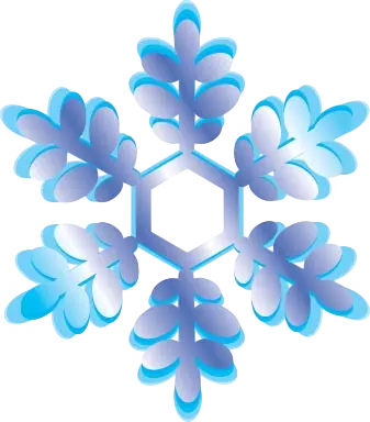 icon アナ雪